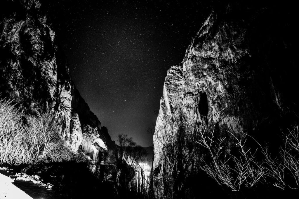 FURLO MILKY (3) ©lucaromanopix