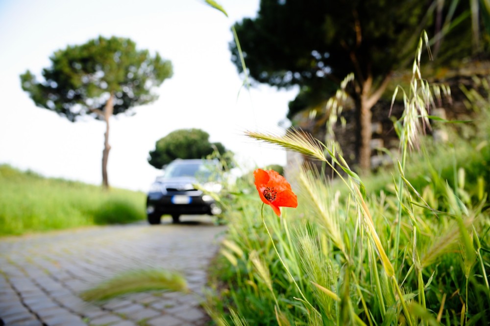 SUBARU FORESTER 2013 ©mrlukkor