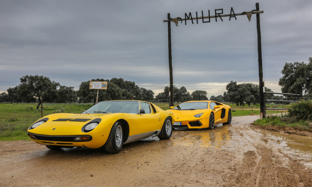 LAMBORGHINI MIURA - In TV con drivelife del 14 Gennaio