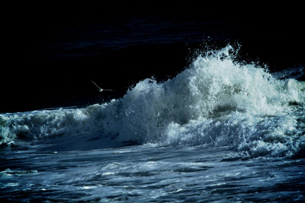 WINGS AND WAVES ©lucaromanopix