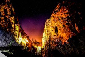 FURLO'S MILKY ©lucaromanopix