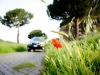 SUBARU_APPIA_ANTICA_Copy-Mrlukkor-3