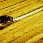 VOLVO XC90 YELLOW FIELD @ drive life copy mrlukkor