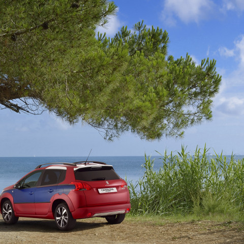 PEUGEOT 2008 CASTAGNA "NORMALLY CHIC"