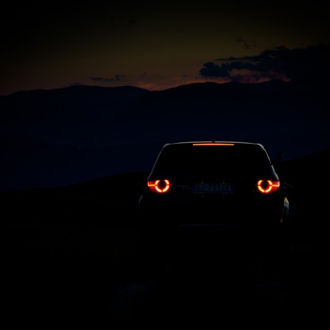 LAND ROVER DISCOVERY SPORT PETROL, "WOLF"©lucaromanopix