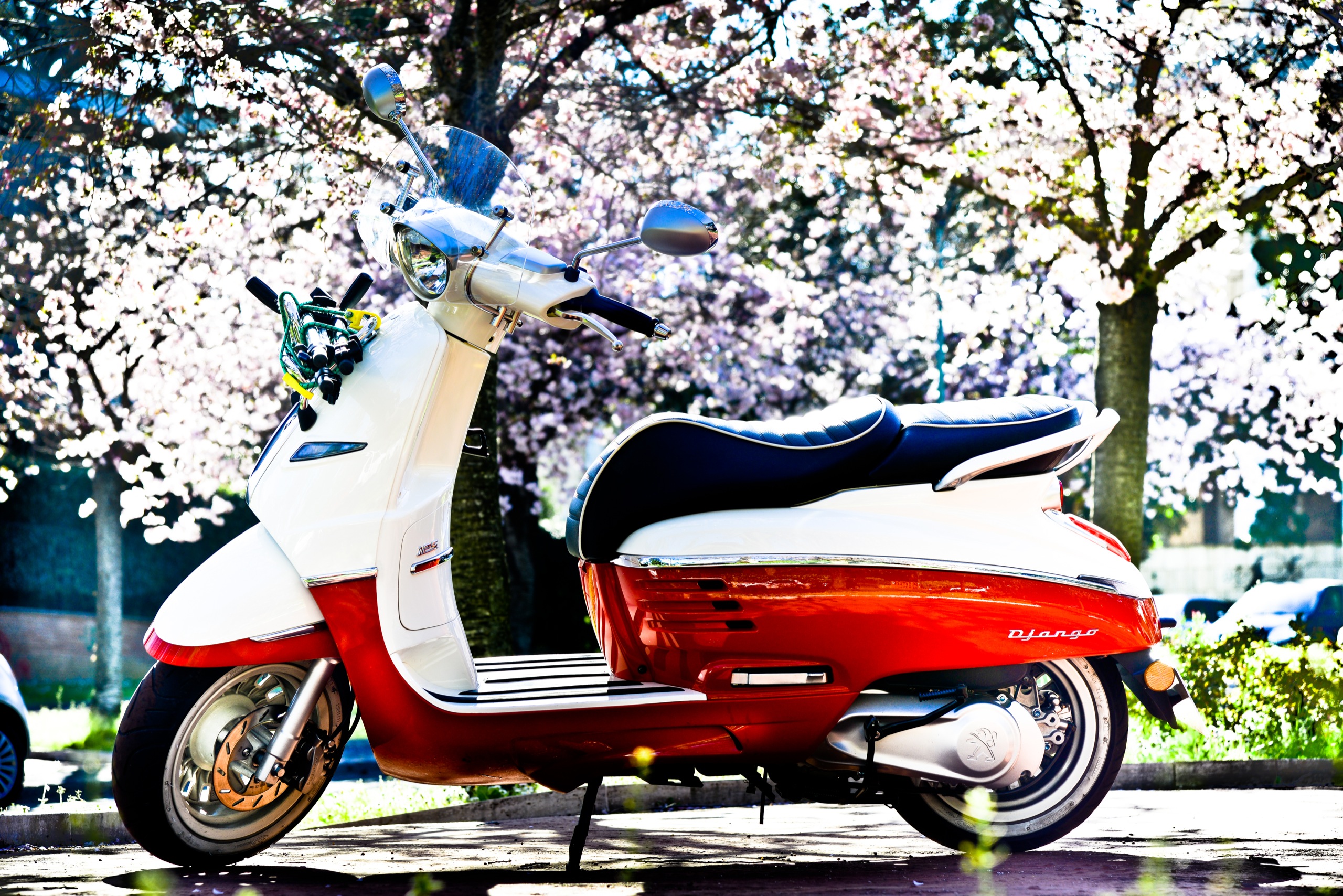 PEUGEOT-DJANGO-Spring-2