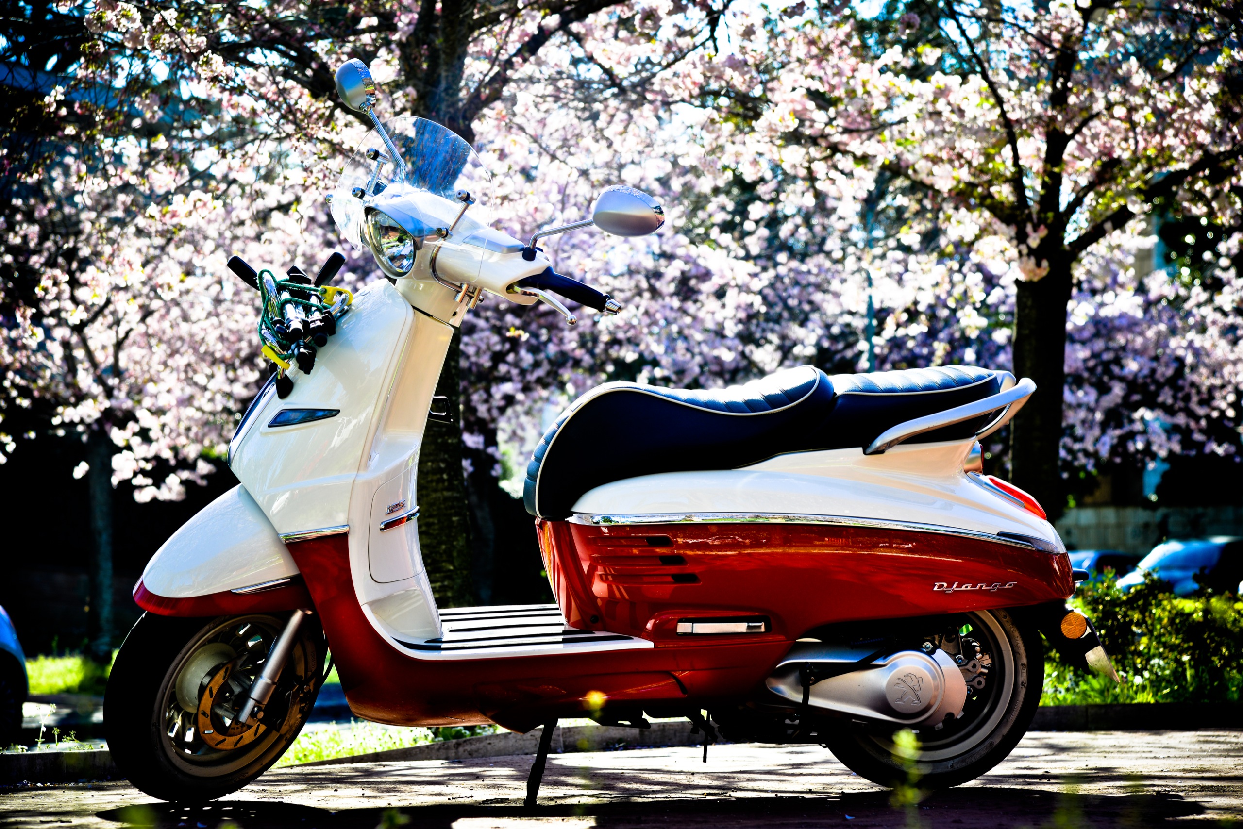 PEUGEOT-DJANGO-Spring