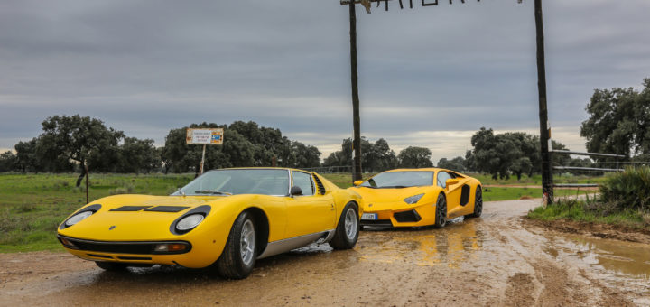 LAMBORGHINI MIURA - In TV con drivelife del 14 Gennaio