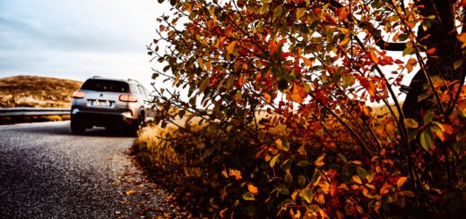 CITROËN C5 AIRCROSS / ©LUCAROMANO