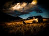 5pic_LANDROVER-DISCOVERY-SPORT-PETROL-Abruzzo_lucaromanopix-11.jpg