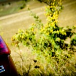 AUDI Q3 copy mrlukkor @drivelife.it magazine on line