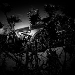 AUDI Q3 copy mrlukkor @drivelife.it magazine on line