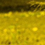 AUDI Q3 copy mrlukkor @drivelife.it magazine on line