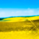 AUDI Q3 copy mrlukkor @drivelife.it magazine on line