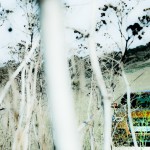 AUDI Q3 copy mrlukkor @drivelife.it magazine on line