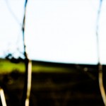 AUDI Q3 copy mrlukkor @drivelife.it magazine on line