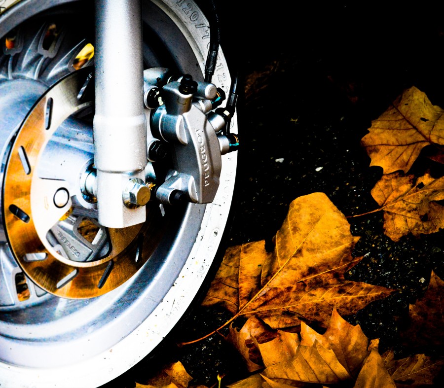 AUTUMN (c) luca romano